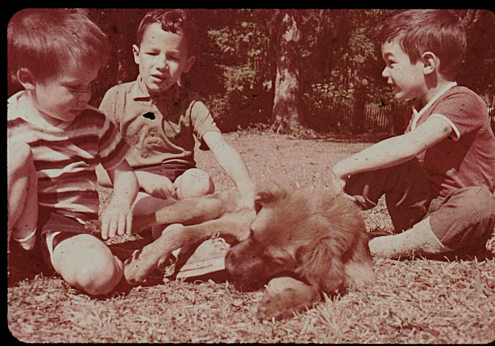 Gainesville 1969 chris-Phil-Marc_Hector