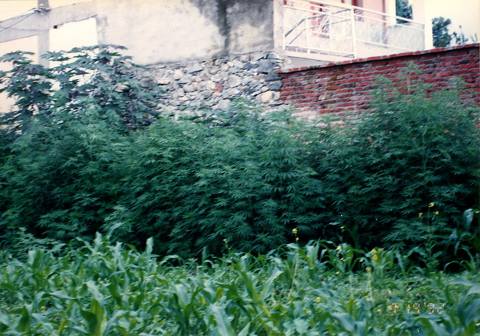 Yunnan 雲南 yunan_19920719-6-3