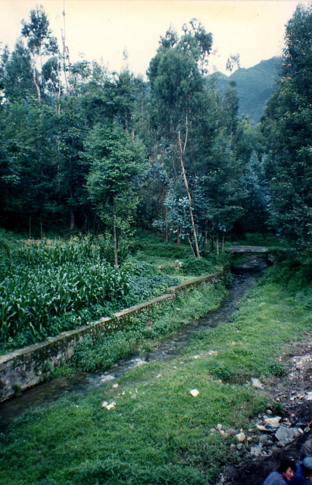 Yunnan 雲南 yunan_19920719-6-5