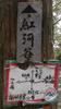 four directions: trail South towards 逐鹿山 and 拔刀爾 (巴特魯山)