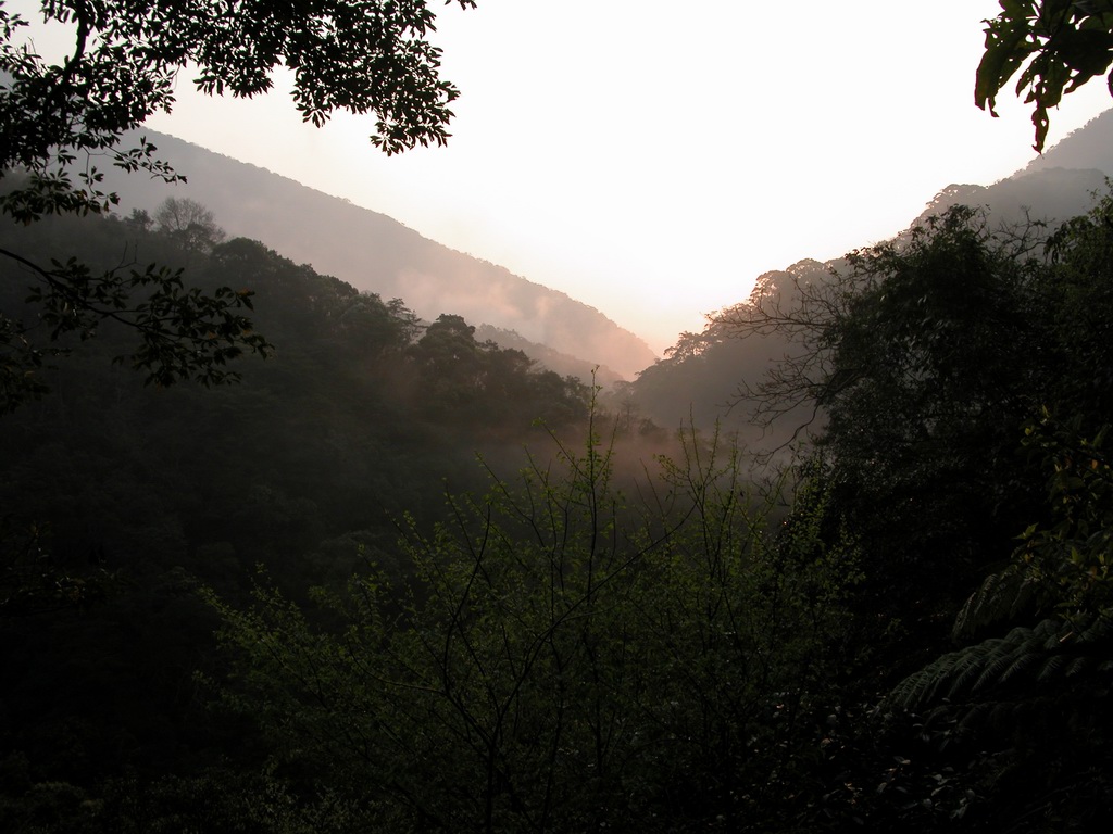 Hike from FuShan in Wulai to BaLing in TaoYuan 福山（烏來）到 巴陵（ 桃園） DSCN2870