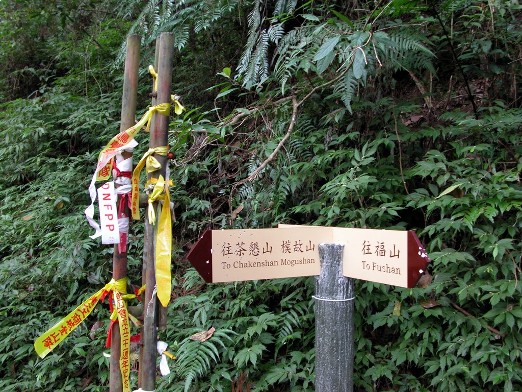 Hike from FuShan in Wulai to BaLing in TaoYuan 福山（烏來）到 巴陵（ 桃園） DSCN2873