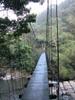 from the FuShan suspension bridge