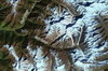 Nanda-Devi 2006 map-google