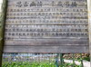 Wangxiang 2006 18925
