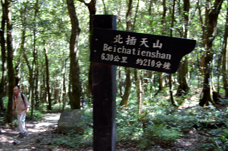 Beichatianshan 北插天山 practice hike DSC_9171