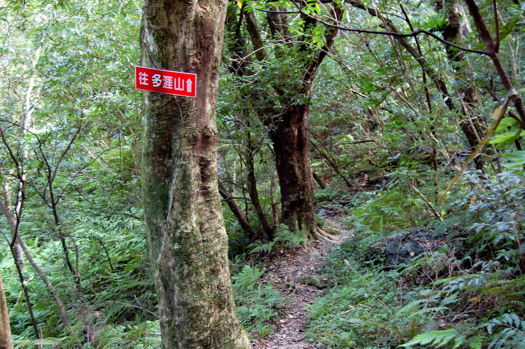 Beichatianshan 北插天山 practice hike DSC_9218