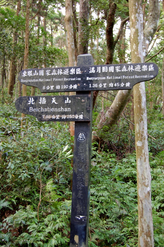 Beichatianshan 北插天山 practice hike DSC_9243