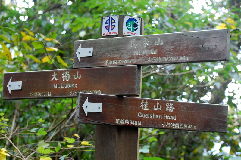 hike to Datong mountain 大桶山 DSC_4073