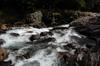 next photo: trail head rapids