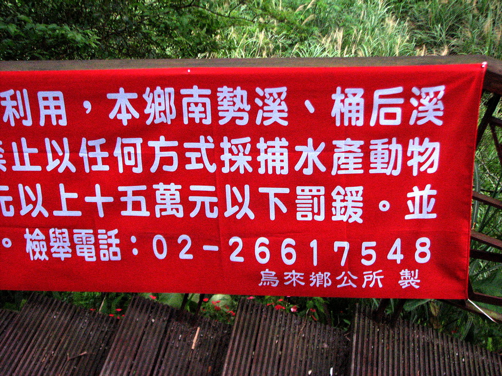 Kuai Shan 檜山 14943_dan_5758