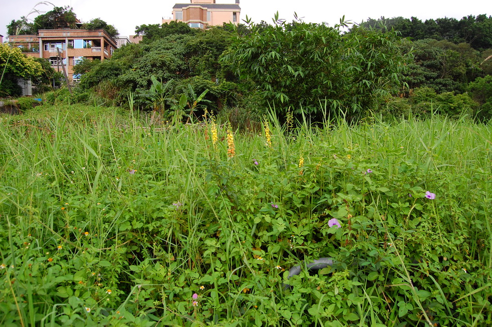 Neihu Indigenous Eco-Culture Park 15396