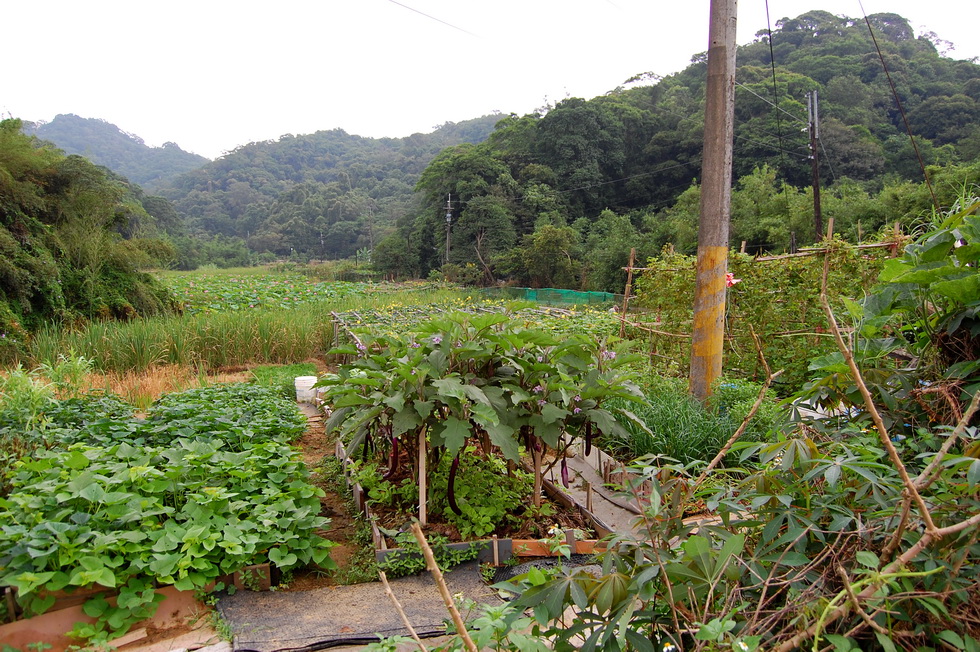 Neihu Indigenous Eco-Culture Park 15403