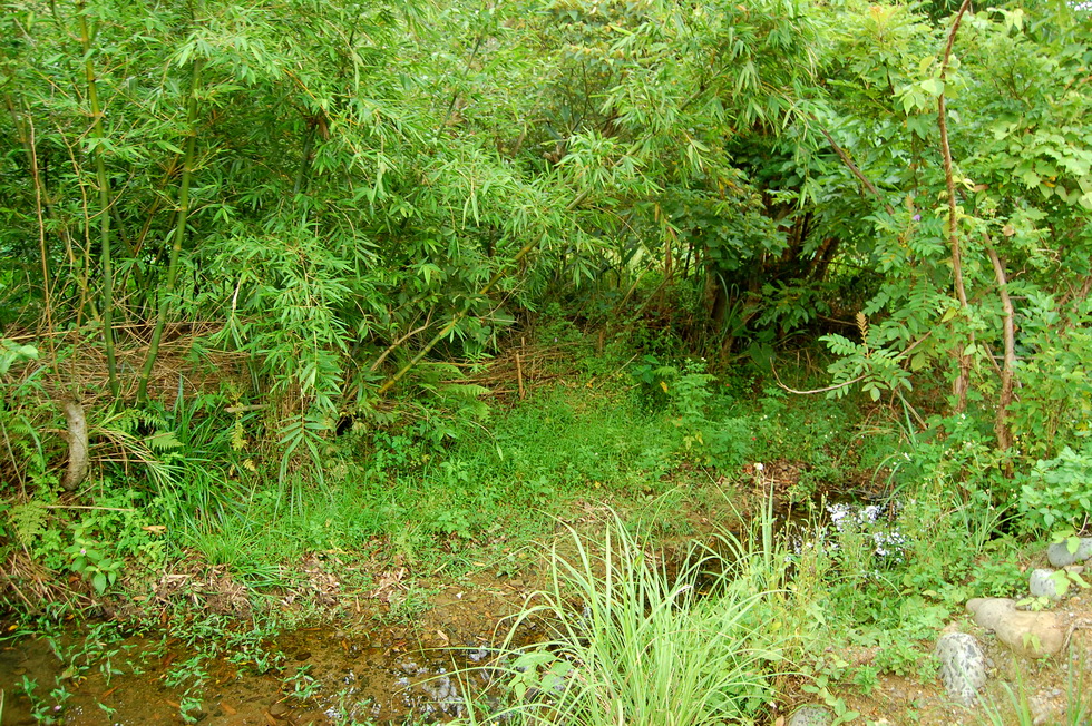 Neihu Indigenous Eco-Culture Park 15405