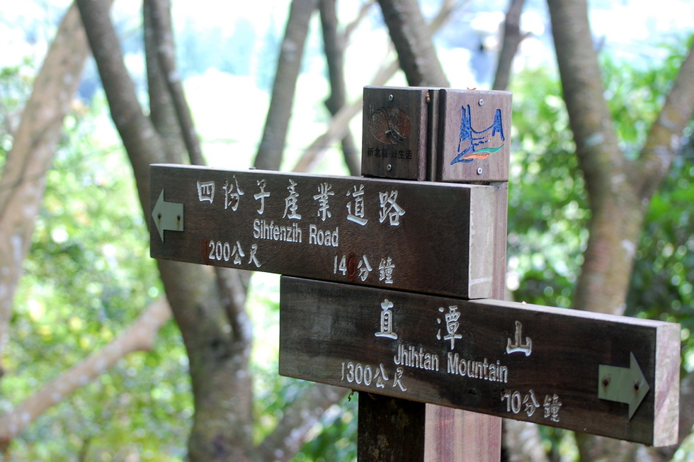 Zhitan mountain 直潭山 16623