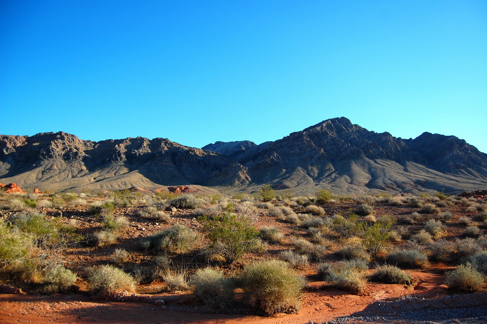 Valley of Fire 21554