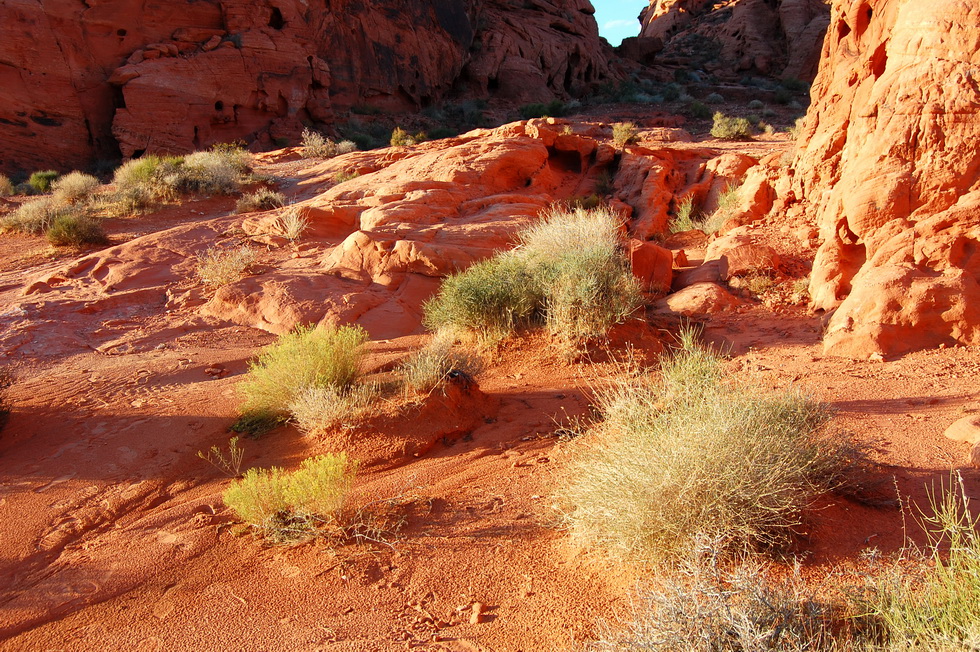 Valley of Fire 21627