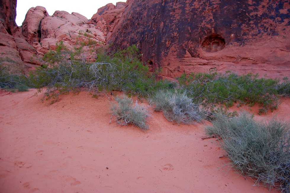Valley of Fire 21714