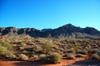 Valley of Fire 21554