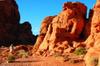 Valley of Fire 21596