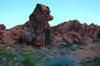 Valley of Fire 21668