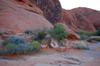 Valley of Fire 21685