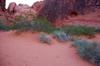 Valley of Fire 21714