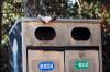 next photo: a ferret? in the bins