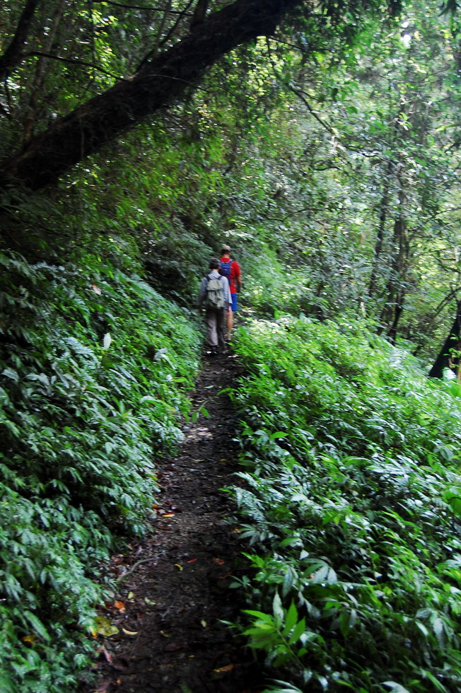 Hike up the Nanshixi 南勢溪 east of Fushan 福山 DSC_9501