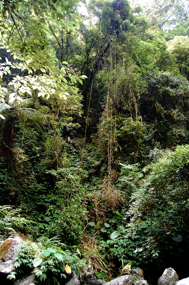 Hike up the Nanshixi 南勢溪 east of Fushan 福山 DSC_9508