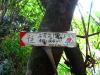 toward Stone Bamboo Shoot Peak 石筍尖 (is dangerous)