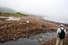 pig waste water flows directly into the ocean