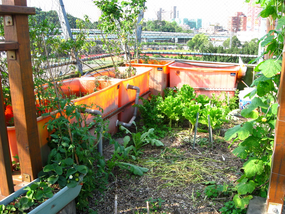 Seed Workshop and Green Rooftop, Compost Sites A570_0475