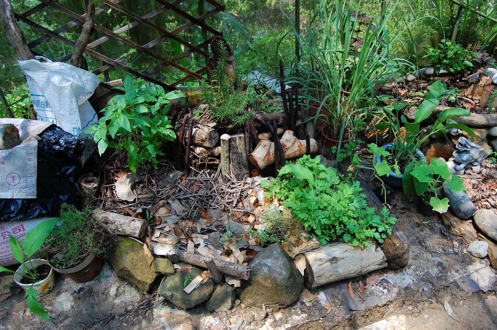Garden City permaculture garden DSC_5073