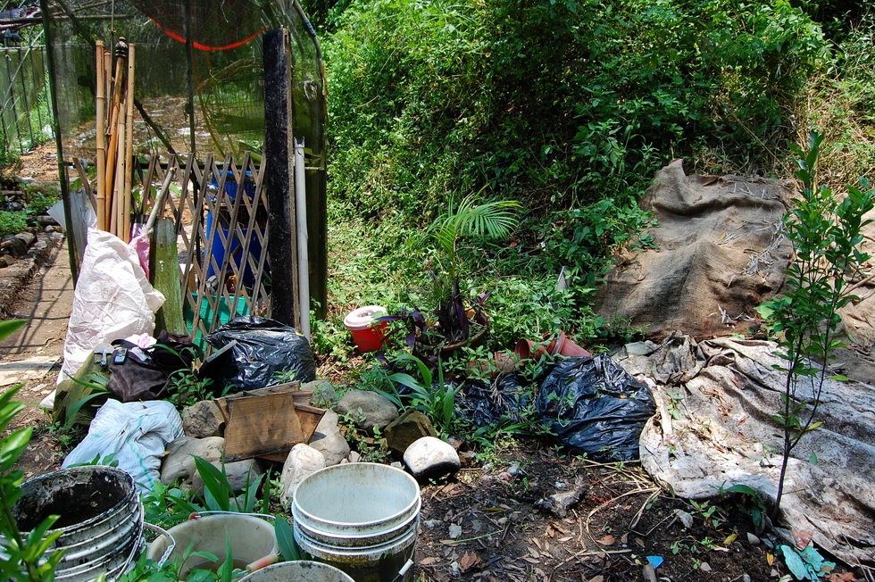 Garden City permaculture garden DSC_5092