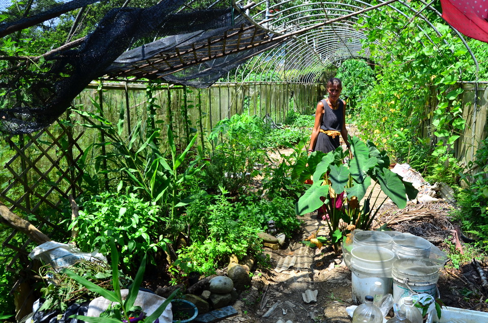 Garden City permaculture garden DSC_7385