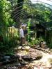 Garden City permaculture garden IMG_1300