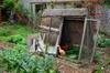 movable chicken house