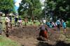 Urban Permaculture Project @ The Channon Primary School DSC_6050