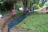 link to Urban Permaculture Project @ The Channon Primary School album