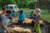 Kids join in mulching