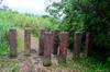 next photo: cattle block on the trail
