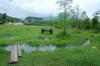 Guanghe Farm in Hualien DSC_6590