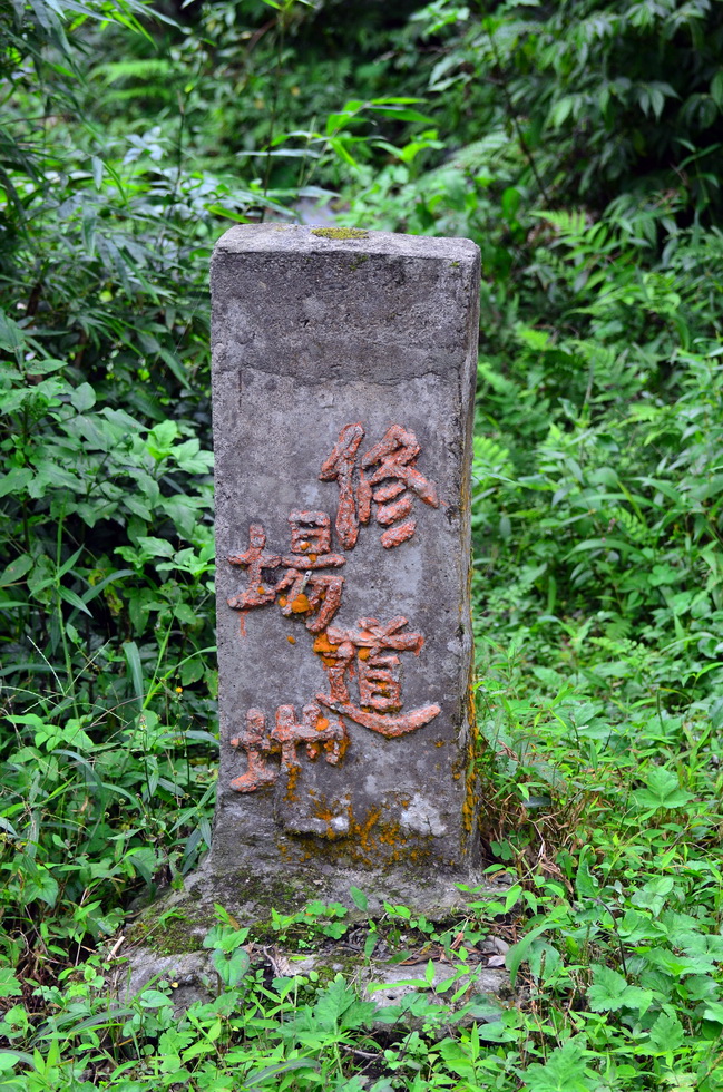 Hike into the FeiTsui reservoir 翡翠水庫 DSC_1683