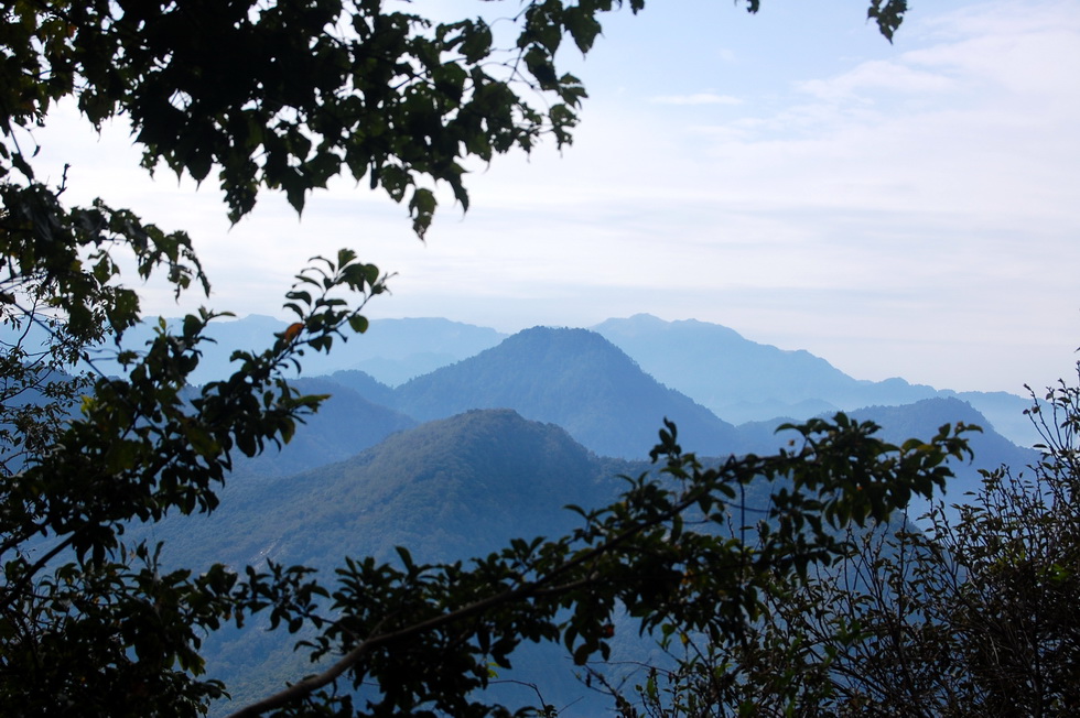 Nenggao Trail 能高越嶺道 DSC_9370