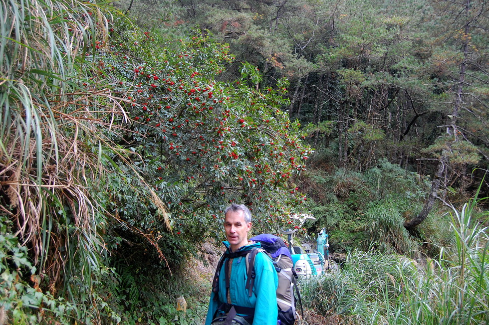 Nenggao Trail 能高越嶺道 DSC_9415