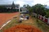 Waiting for straw and other mulch, view from 