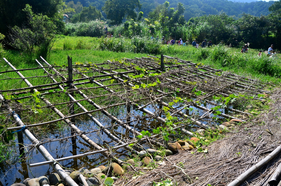 ﻿Outing to Taoyuan, Daxi area: Yiho Farming Community and 撒烏瓦知部落 DSC_1500