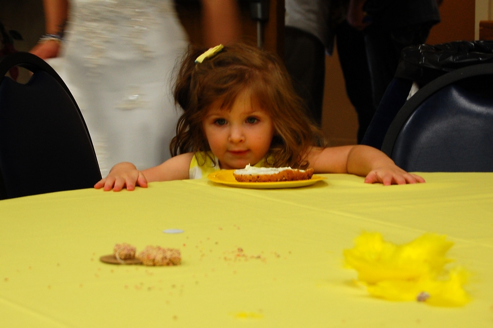 Nick and Drew's wedding and celebration DSC_0717