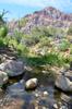 Red Rock Canyon DSC_2954